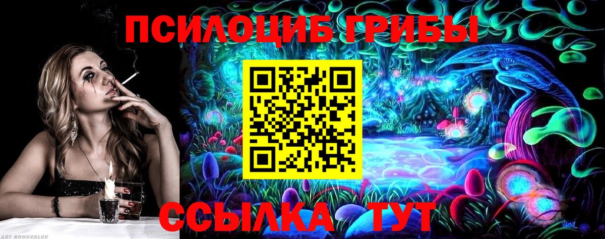 Вышний Волочёк  Галлюциногенные грибы Psilocybe  Псилоцибиновые грибы мицелий  Вход с VPN 