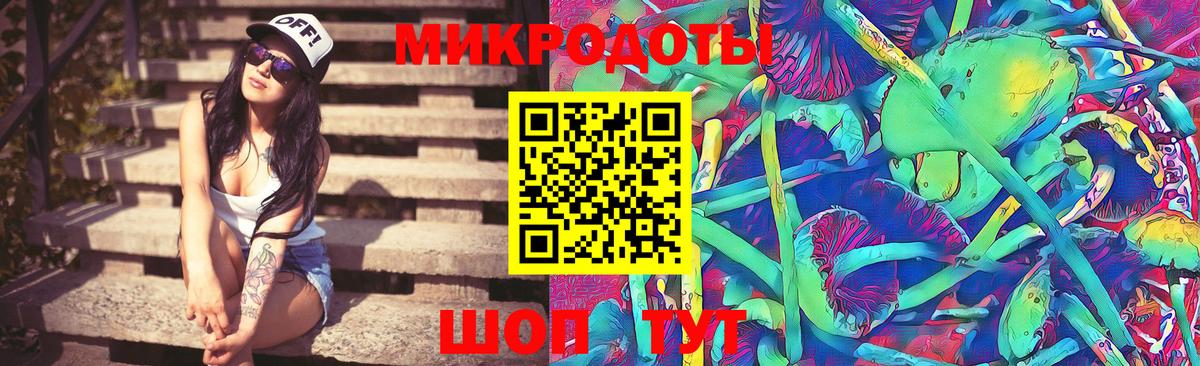 Псилоцибиновые грибы прущие грибы Вышний Волочёк